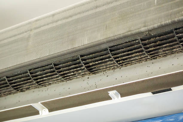 Best Local Air Duct Cleaning Services  in Memphis, MO